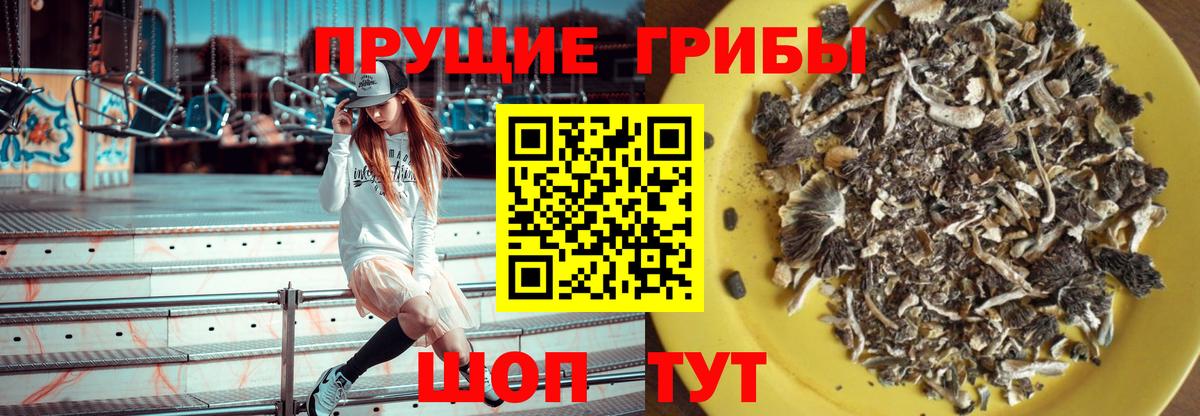 Псилоцибиновые грибы Cubensis Елизово
