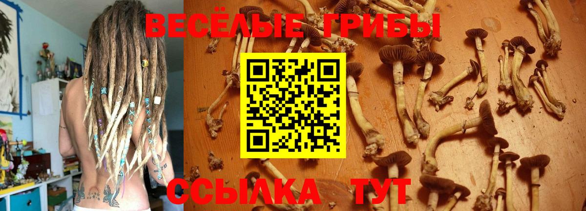 Елизово  Галлюциногенные грибы Magic Shrooms  Вход с VPN 